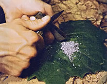 Step three: Shave small pieces of magnesium onto a leaf or other broad surface.